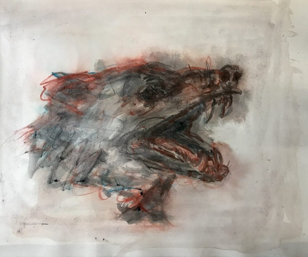 Wolfshund, 2023, Zeichnung/Aquarell, 30 × 30 cm