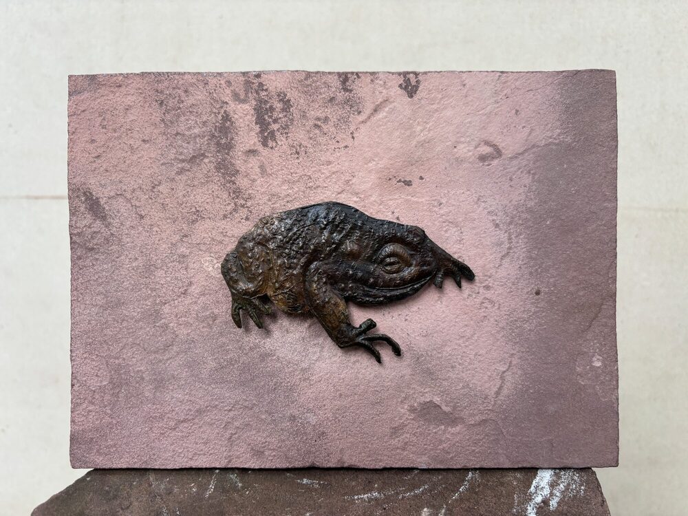 Kröte II, 2022, Bronze/Sandstein, 2 × 20 × 15 cm